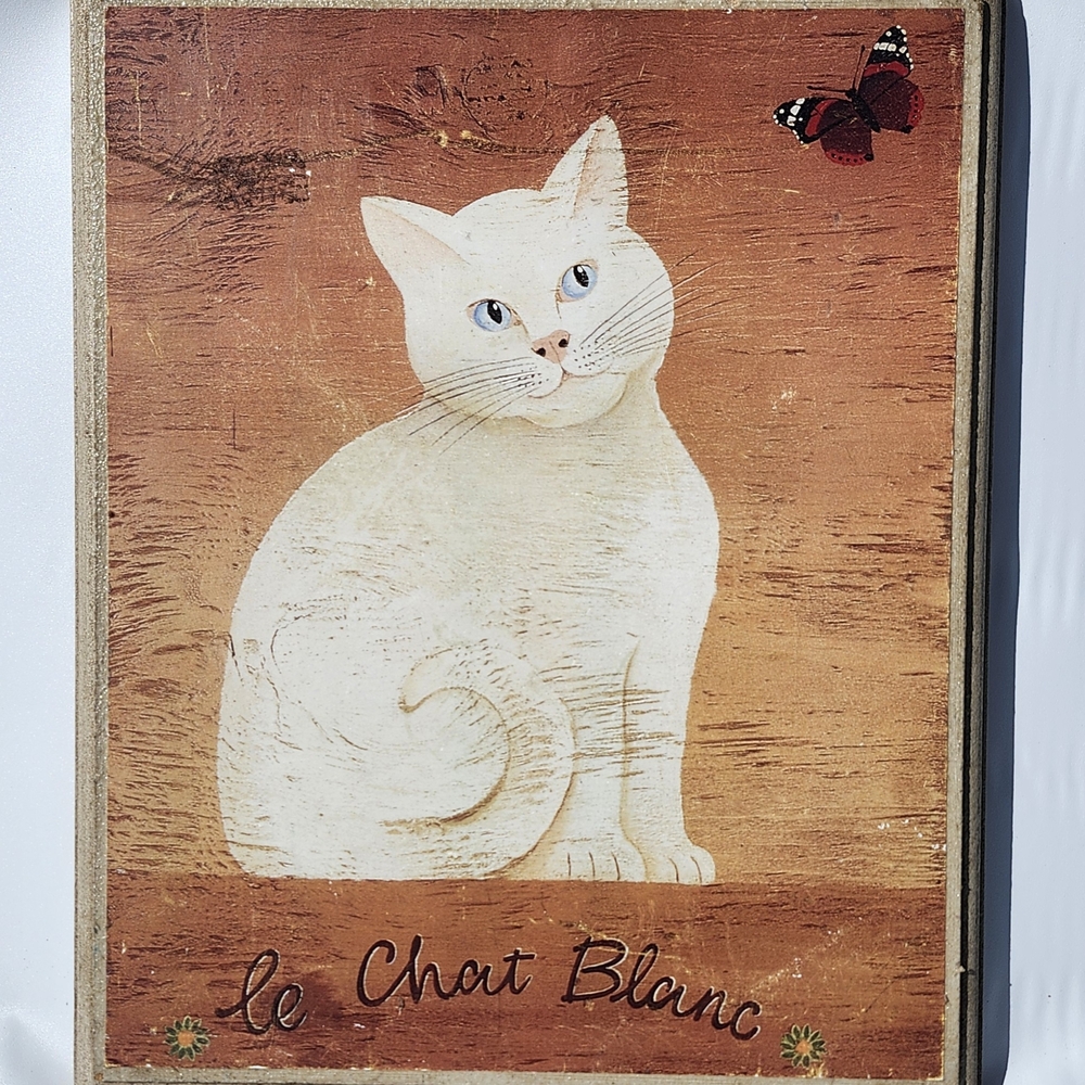 Elegant White and Brown Cat with Expressive Eyes